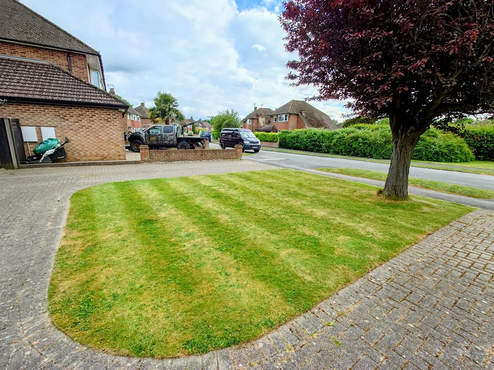 Front lawn with mowing stripes in suburban neighbourhood