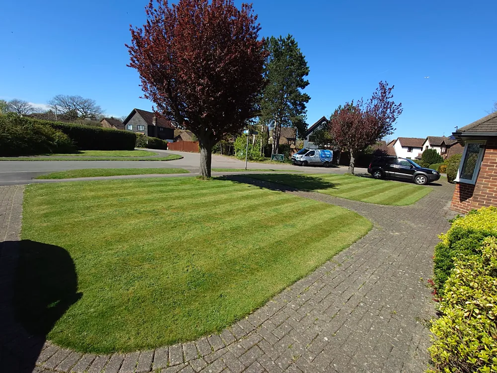 Freshly mowed front garden with striped lawn on a sunny day