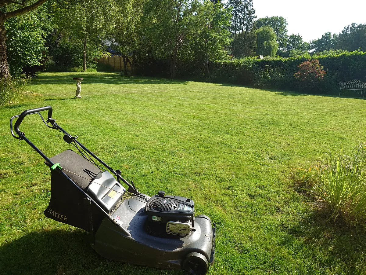 Lawn Mowing & Grass Cutting in action